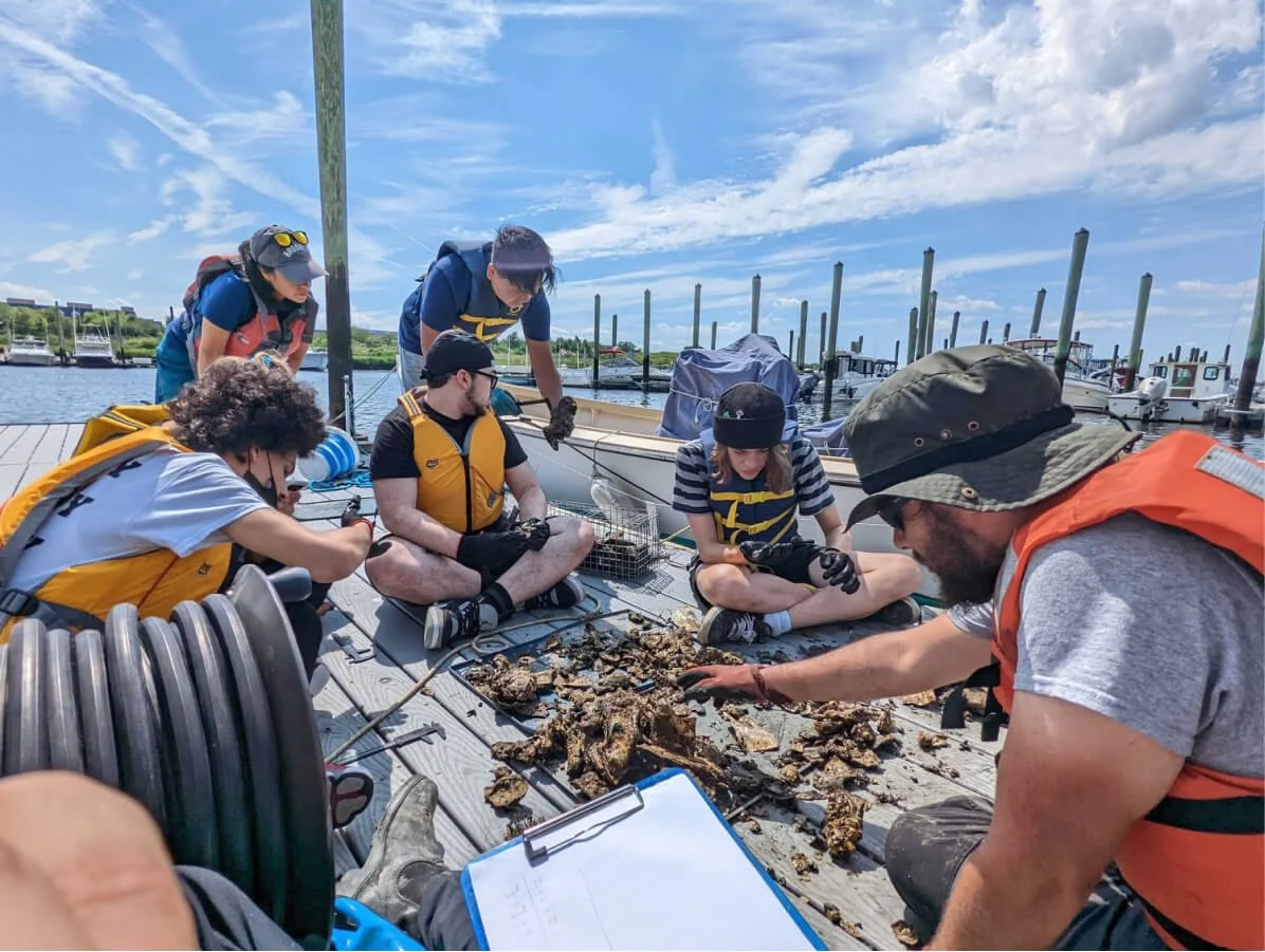 Billion Oyster Project — Environmental in 10 South St