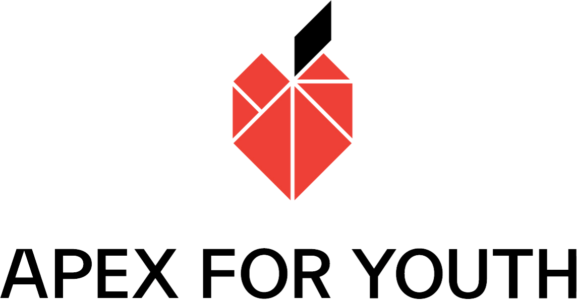 Apex For Youth — Youth Mentoring in Manhattan