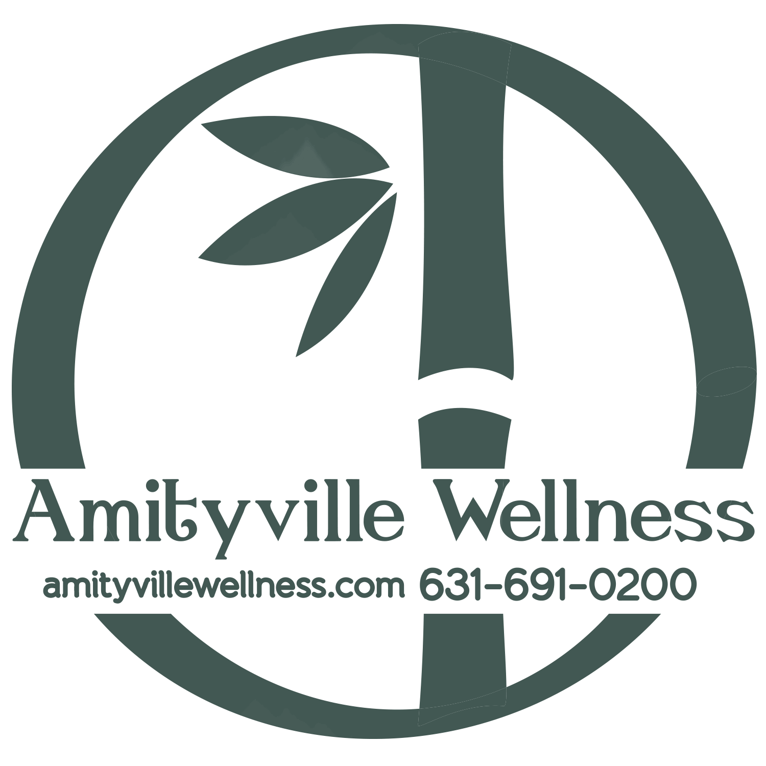 Amityville Acupuncture Athletics — Triathlon in Manhattan | Brooklyn | Queens | Staten Island | The Bronx | Westchester & Greater NY | Nassau County | Suffolk County