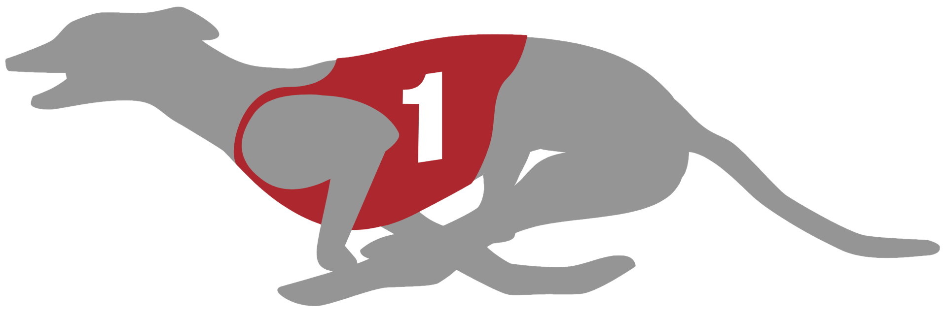Henwood Hounds Racing Team — Running in Manhattan