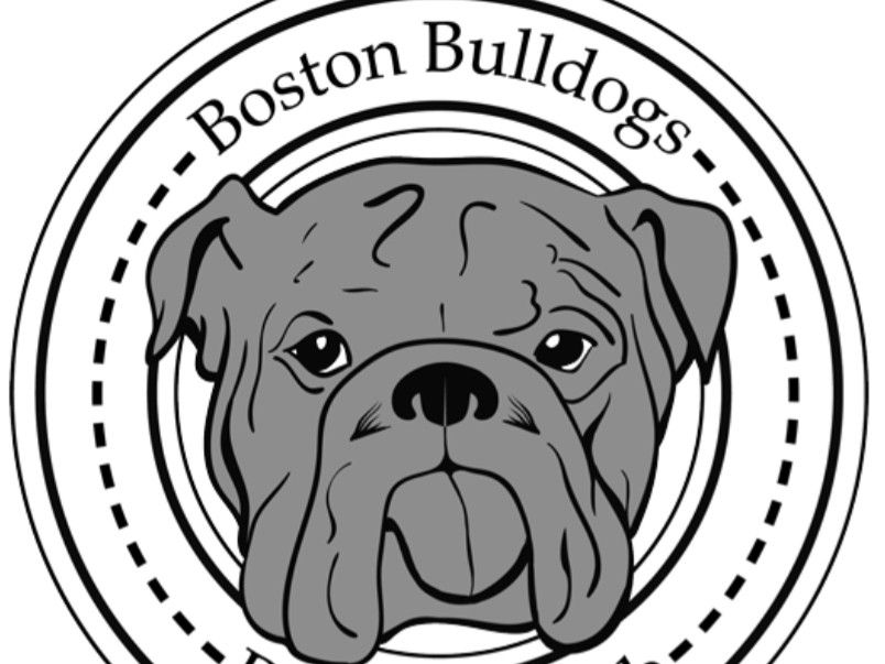 Boston Bulldogs Running Club — Running in Boston Common