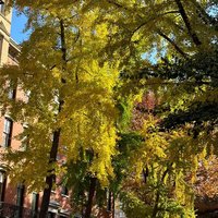 Ink Drinkers Of The East Village — Book Clubs in Manhattan