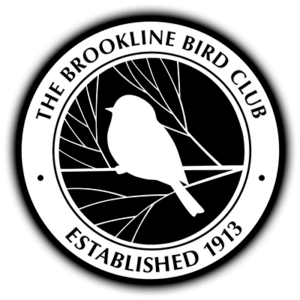 Brookline Bird Club — Gardening in Brookline