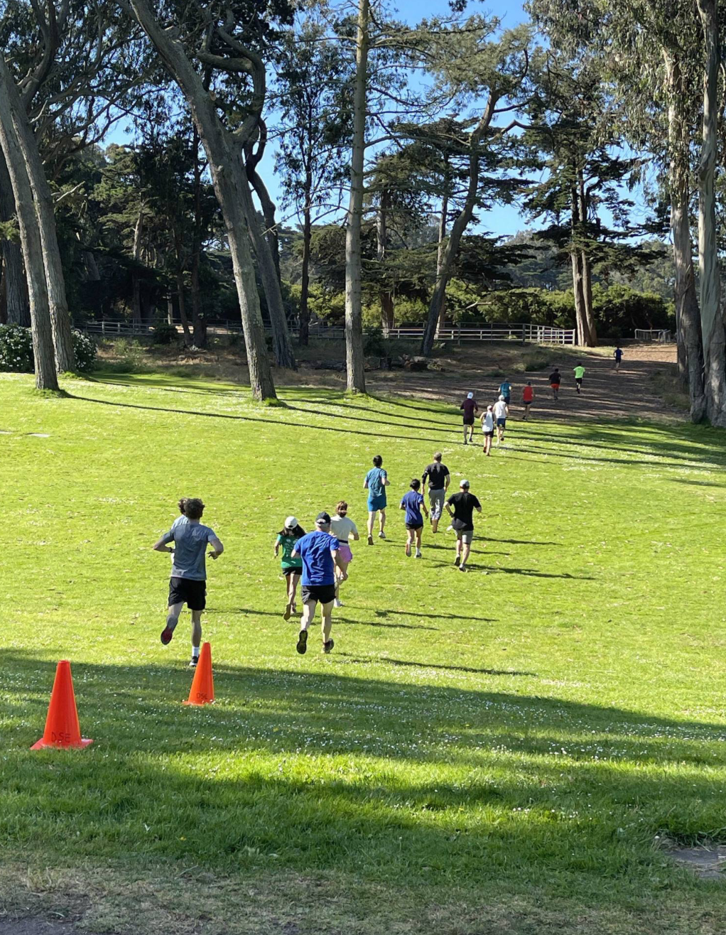 Dolphin South End Runners — Running in San Francisco