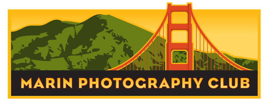 Marin Photo Club — Photography in San Rafael