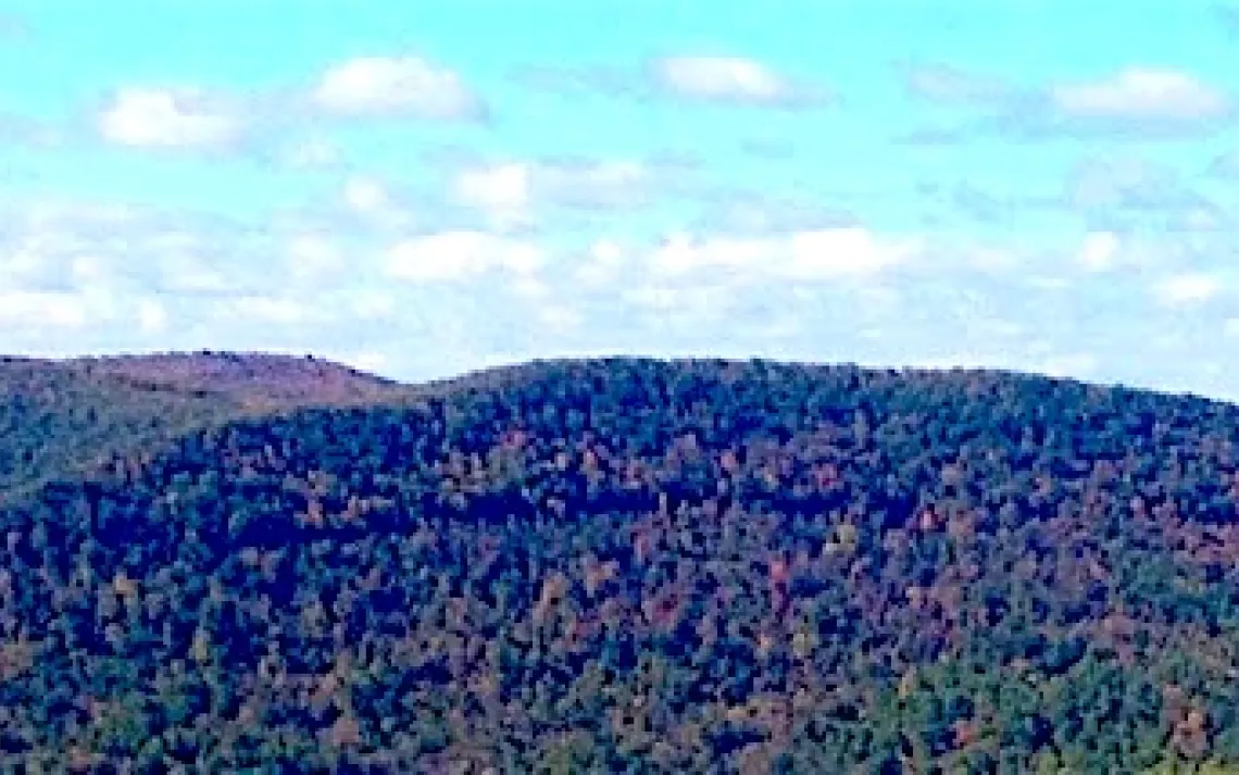 Sierra Club Pennsylvania — Environmental in Philadelphia