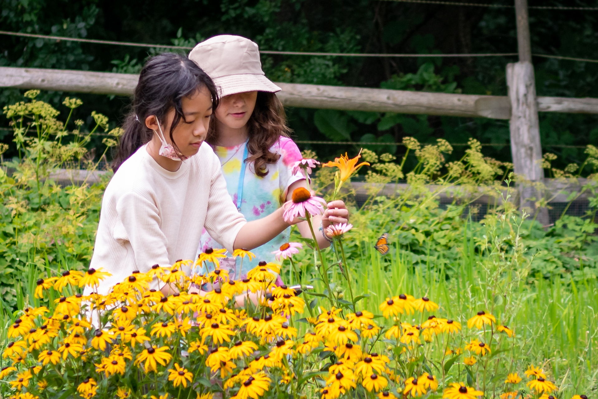 Mass Audubon Boston Nature Center — Environmental in Mattapan