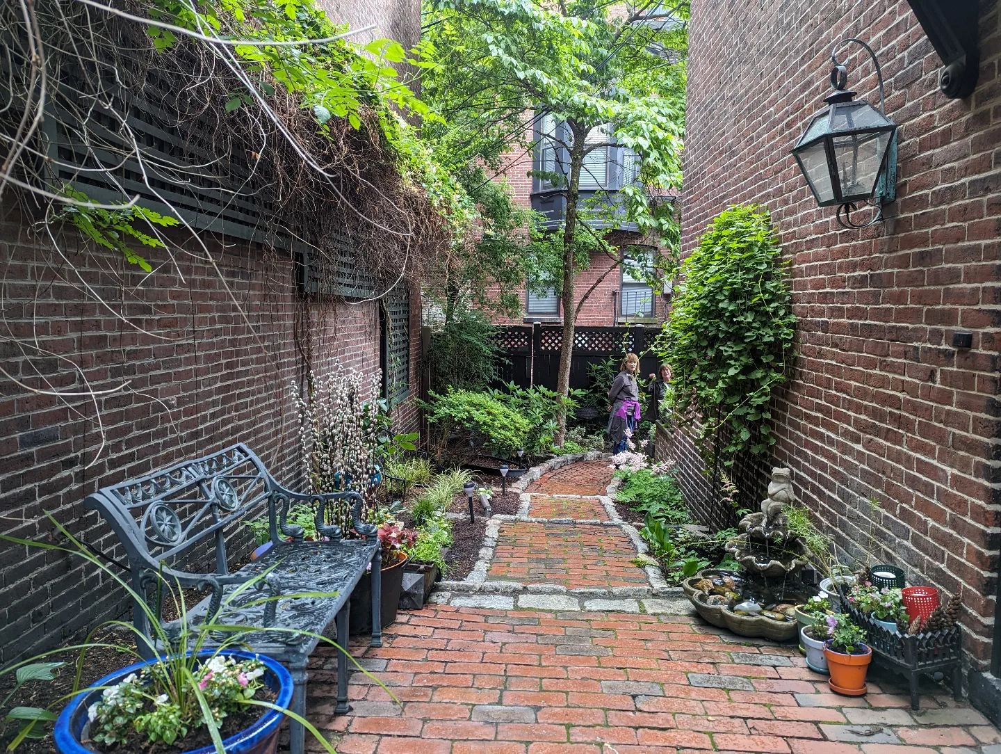 South End Garden Club — Gardening in Boston