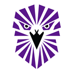 Arizona Nighthawk — Men's in Phoenix